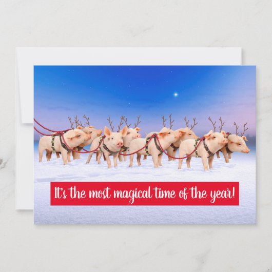 トナカイ豚 招待状 (正面)