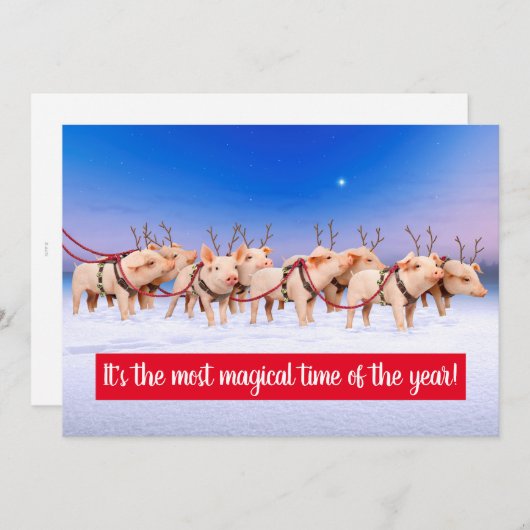 トナカイ豚 招待状 (正面/裏面)