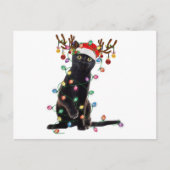 トナカイ黒猫クリスマスライトキャットおもしろいラブ ポストカード (正面)