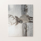 トナカイ ジグソーパズル (縦)