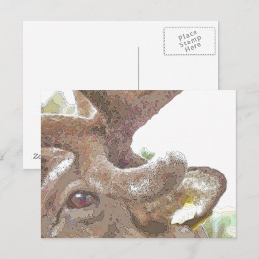 トナカイ ポストカード (正面/裏面)