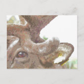 トナカイ ポストカード (正面)