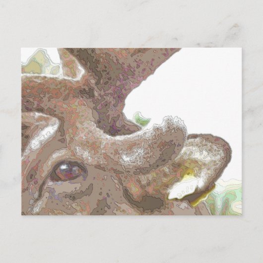 トナカイ ポストカード (正面)