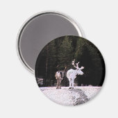 トナカイ マグネット (正面/裏面)