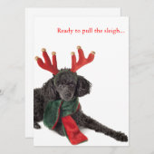 トナカイ〔雄ジカの〕枝角付きブラックトイプードル シーズンカード (正面/裏面)