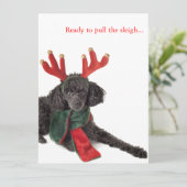 トナカイ〔雄ジカの〕枝角付きブラックトイプードル シーズンカード (スタンド正面)