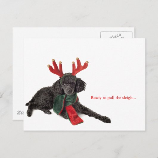 トナカイ〔雄ジカの〕枝角付きブラックトイプードル シーズンポストカード (正面/裏面)