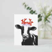 トナカイ〔雄ジカの〕枝角 シーズンポストカード (スタンド正面)