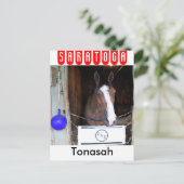 トナサ ポストカード (スタンド正面)