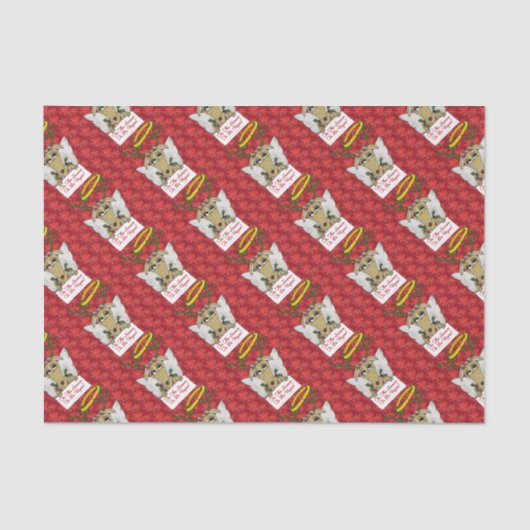 トナディアエンジェルザシーズンズブズビーガン 薄葉紙 (正面)