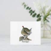 トナメギン鳥、トニー・フェルナンデス ポストカード (スタンド正面)