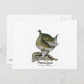 トナメギン鳥、トニー・フェルナンデス ポストカード (正面/裏面)