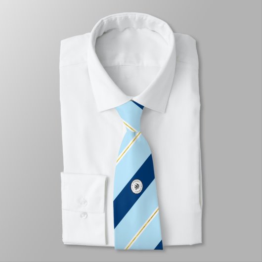 トナワンダ市旗のネックタイ ネクタイ (タイ)