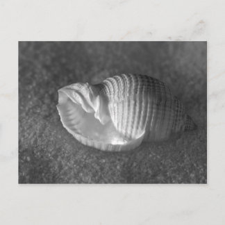 トナ・テセサータ ポストカード