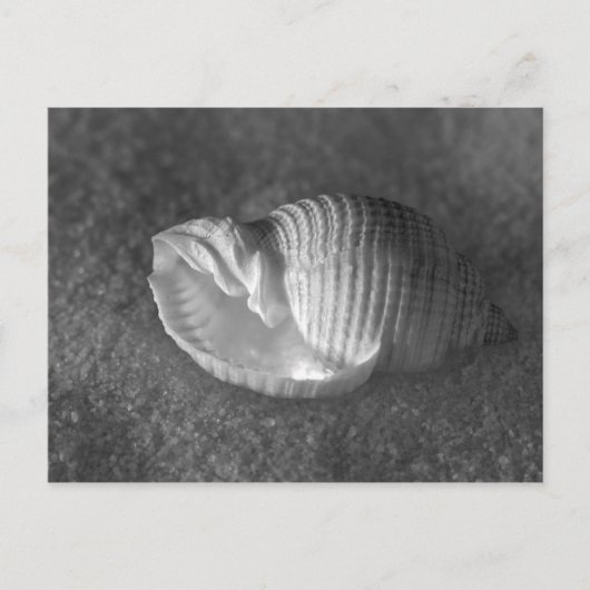 トナ・テセサータ ポストカード (正面)