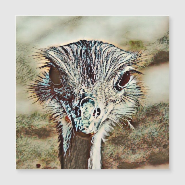 トニーオストリッチ (正面)