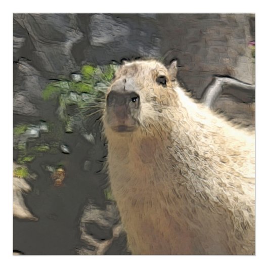 トニーキャピー3 フォトプリント            (正面)