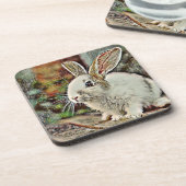 トニーバニー コースター (左側)