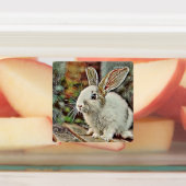 トニーバニー ラベル (貼付)