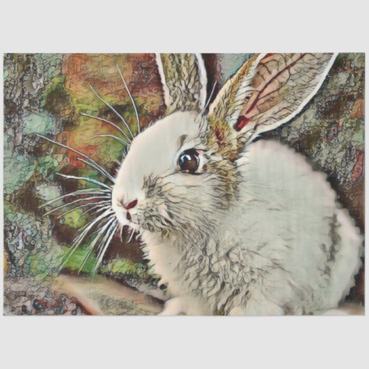 トニーバニー 薄葉紙 (正面)