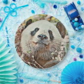 トニーパンダ ペーパープレート (パーティー)