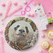 トニーパンダ ペーパープレート (パーティー)