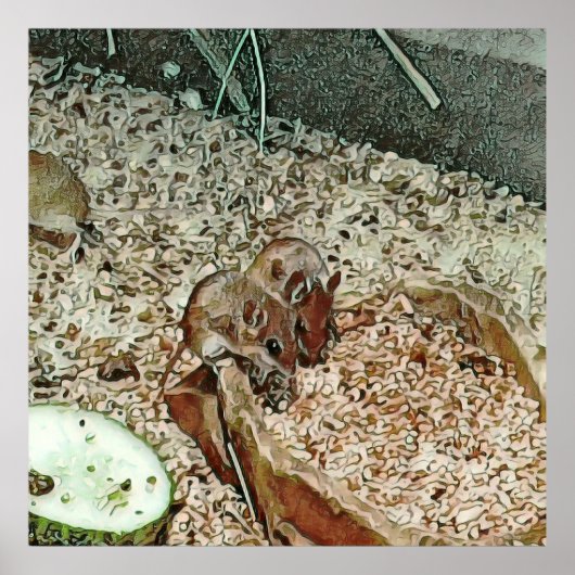 トニー矮小ネズミ ポスター (正面)