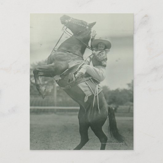 トニー、キーイン、ワイオミングのルース・ローチ。 ポストカード (正面)