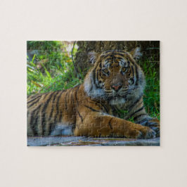 トニー ジグソーパズル