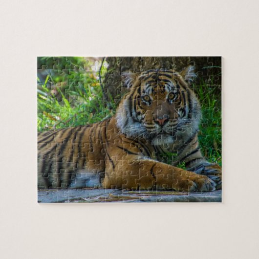 トニー ジグソーパズル (横)