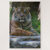 トニー ジグソーパズル (縦)