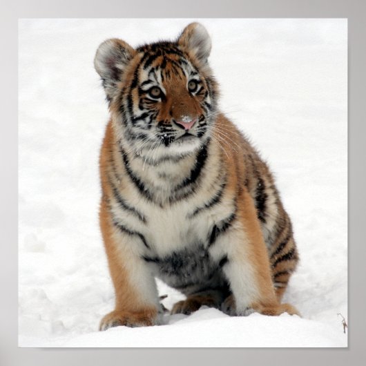 トニー・ジュニア ポスター (正面)