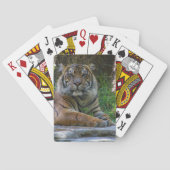 トニー トランプ (裏面)