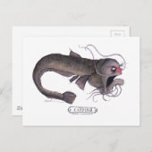 トニー・ファーナンデス・ナマズ ポストカード (正面/裏面)