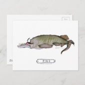 トニー・フェルナンデス・パイク・フィッシュ ポストカード (正面/裏面)