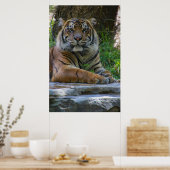 トニー ポスター (キッチン)