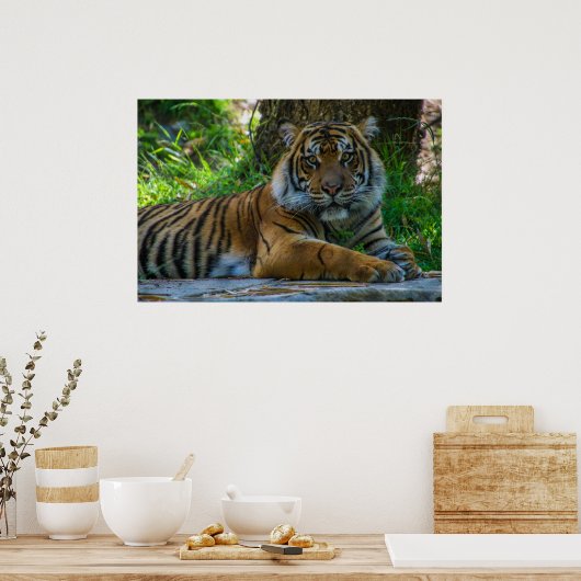 トニー ポスター (キッチン)