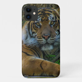 トニー iPhone 11 ケース