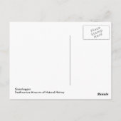 トノサマバッタのポストカード ポストカード (裏面)