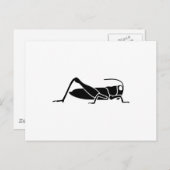 トノサマバッタ ポストカード (正面/裏面)