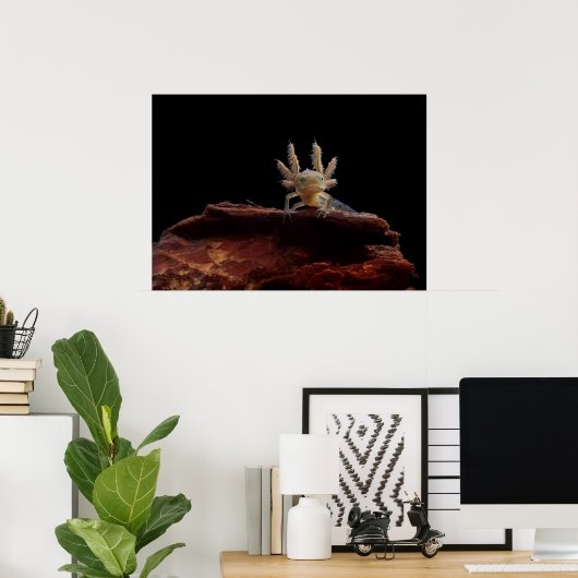 トノトガラ ポスター (ホームオフィス)