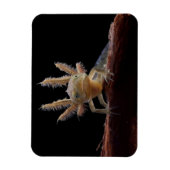 トノトガラ マグネット (縦)