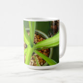 トバゴの緑のマグ コーヒーマグカップ (正面右)