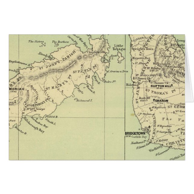 トバゴバルバドス (正面横)