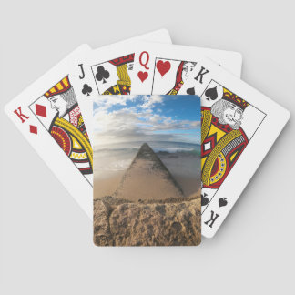 トバゴ遊にいる トランプ