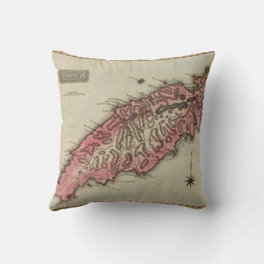 トバゴ クッション (裏面)