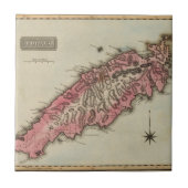 トバゴ タイル (正面)