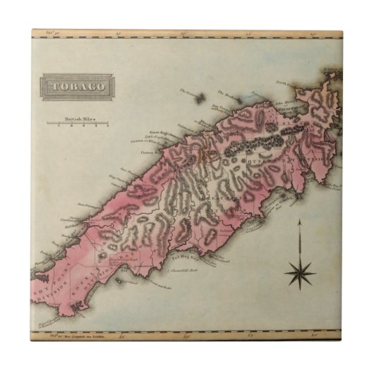 トバゴ タイル (正面)