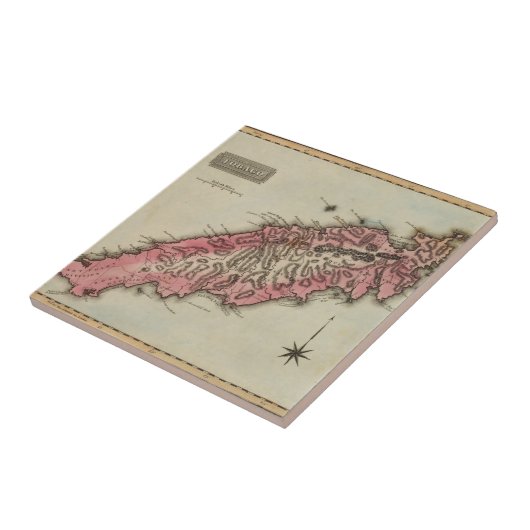 トバゴ タイル (側面)