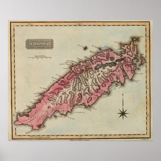 トバゴ ポスター (正面)